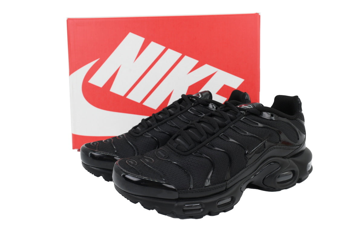 Nike Air Max Plus Sneakers | EU 39¨C47.5
